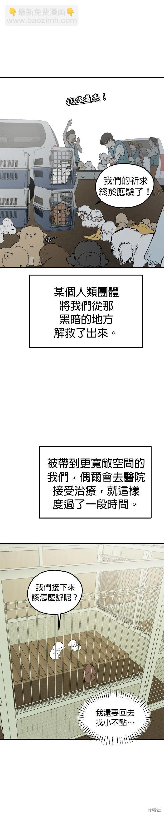 🍸狗狗末日生存法 第87话 第12页