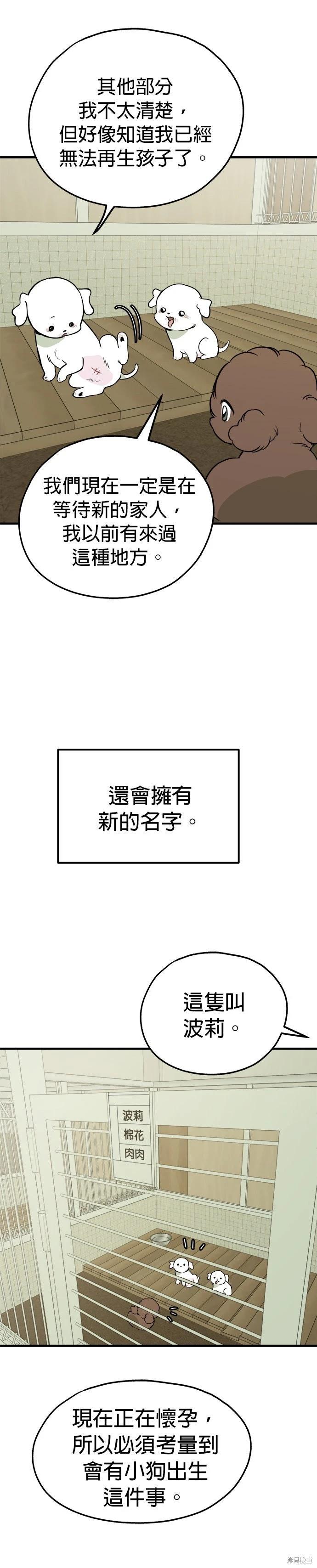 🍸狗狗末日生存法 第87话 第13页