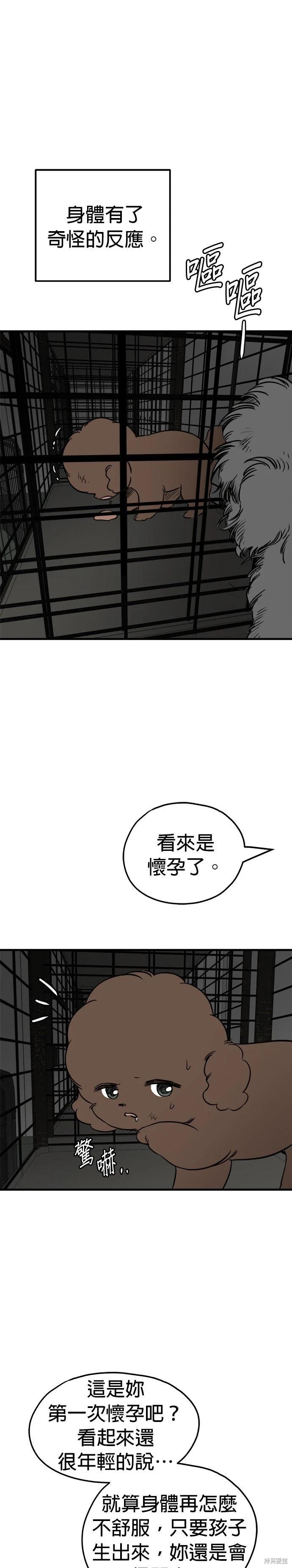 🍸狗狗末日生存法 第87话 第3页