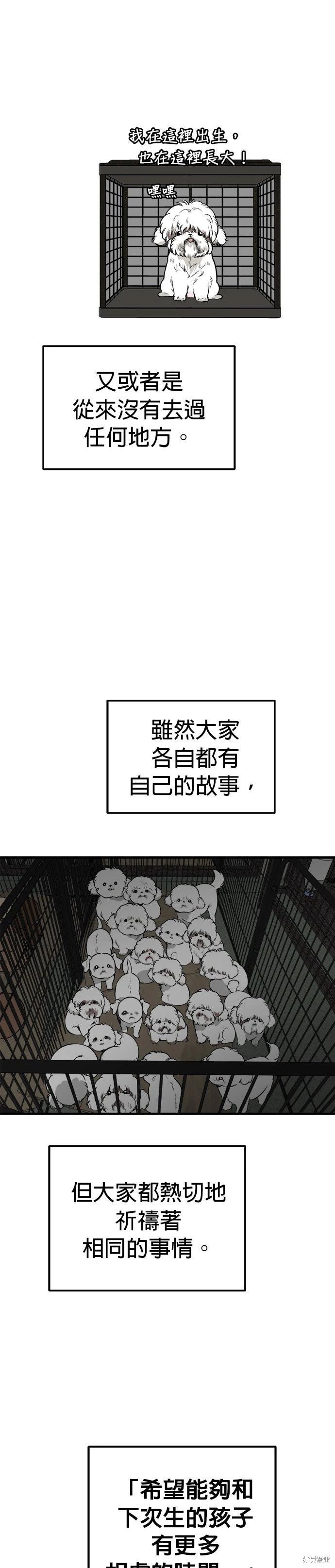 🍸狗狗末日生存法 第87话 第8页