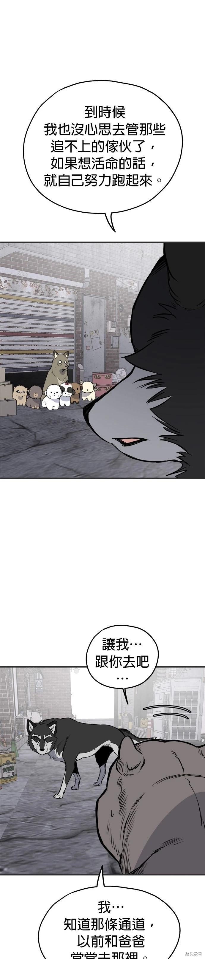 🍸狗狗末日生存法 第89话 第3页