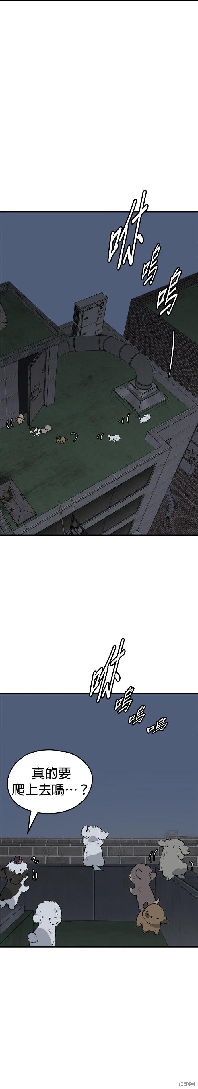 🍸狗狗末日生存法 第91话 第12页