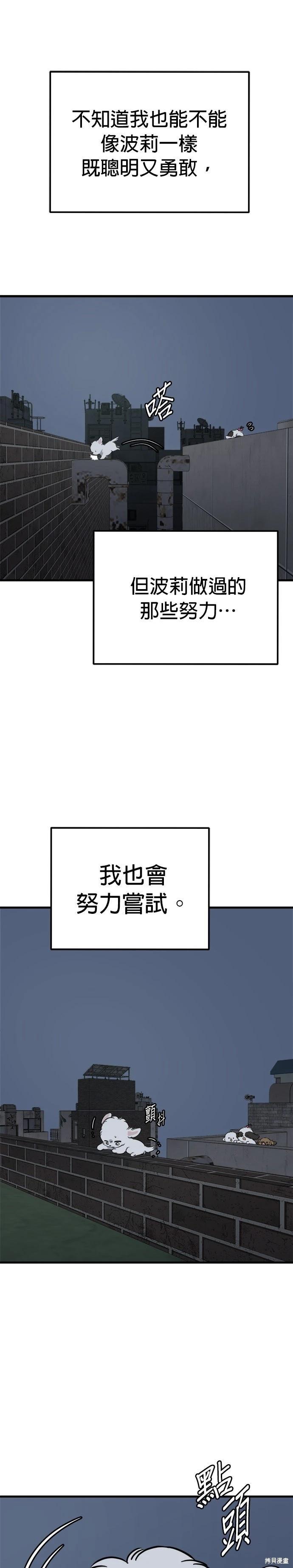 🍸狗狗末日生存法 第91话 第17页