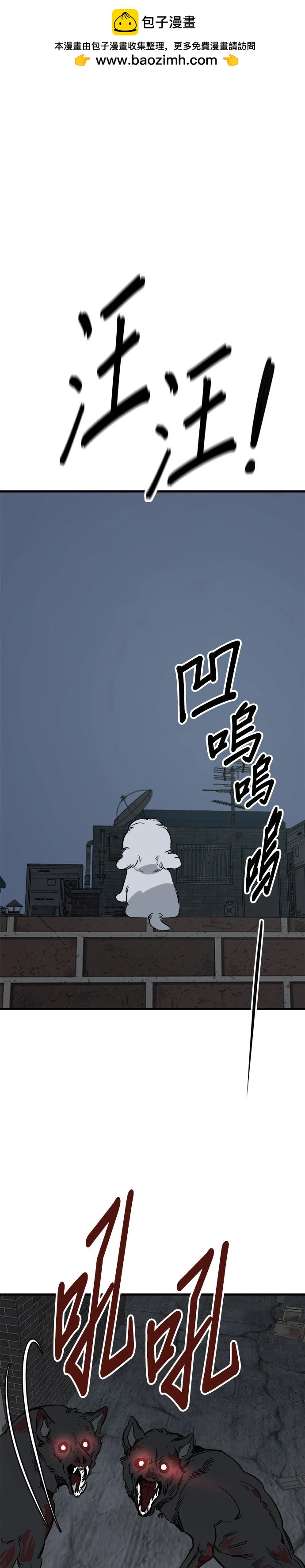 🍸狗狗末日生存法 第91话 第19页