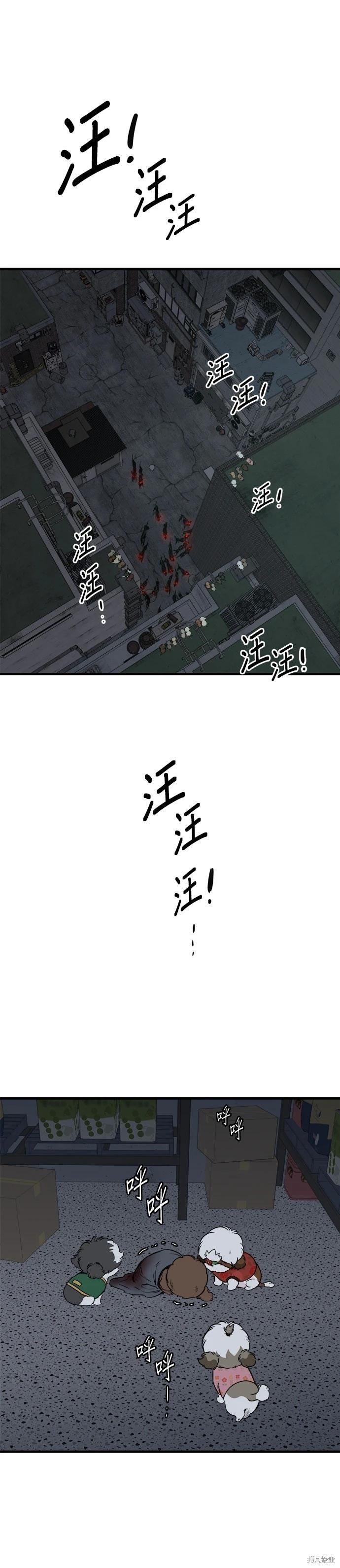 🍸狗狗末日生存法 第91话 第21页