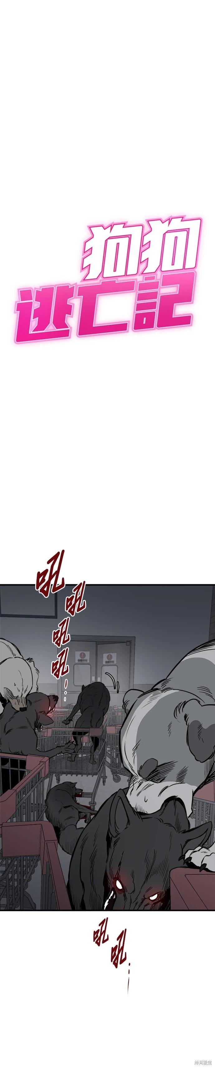 🍸狗狗末日生存法 第91话 第3页