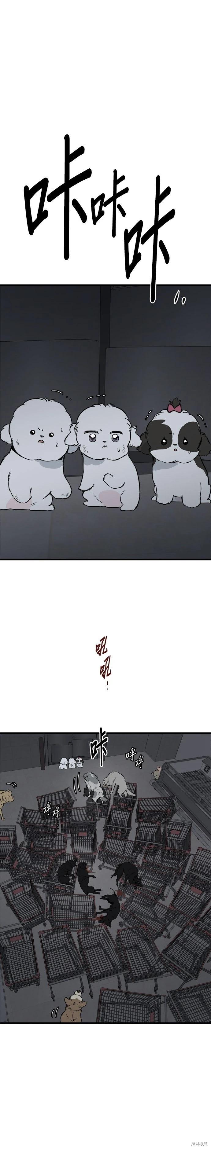 🍸狗狗末日生存法 第91话 第5页