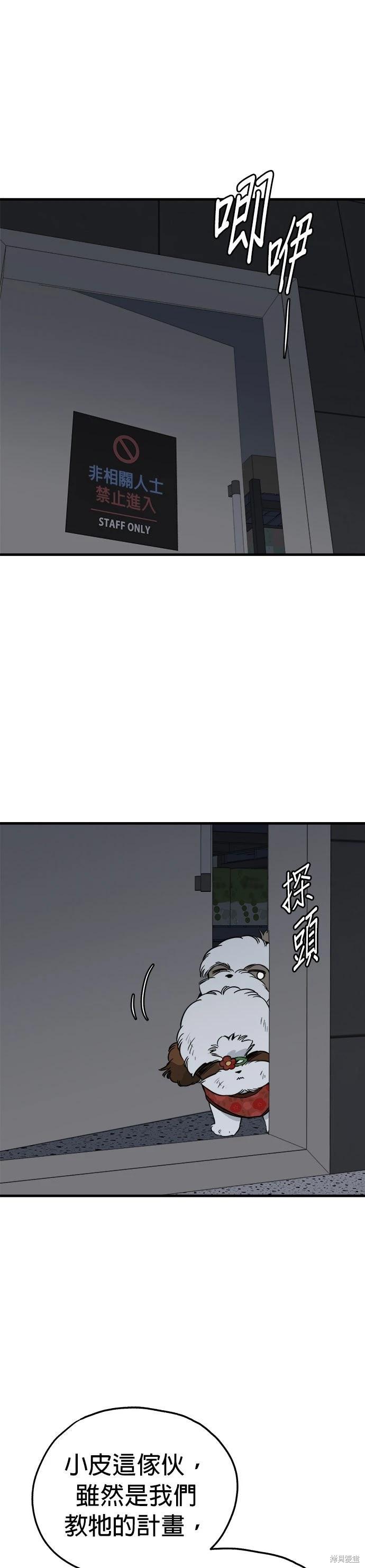 🍸狗狗末日生存法 第91话 第9页