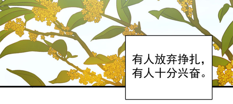 第八十三话(1/3)-第84话