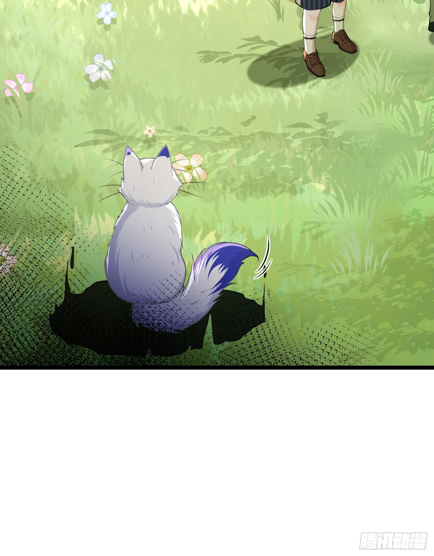 53 拉菲的心脏消失了(1/2)-第54话