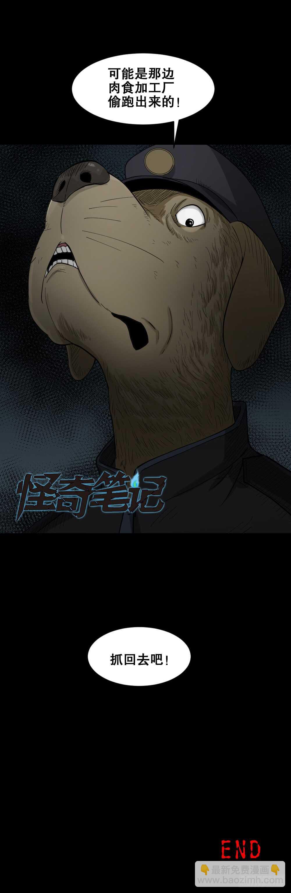 🍸怪奇笔记（怪奇脑洞集） 越狱（4） 第43页