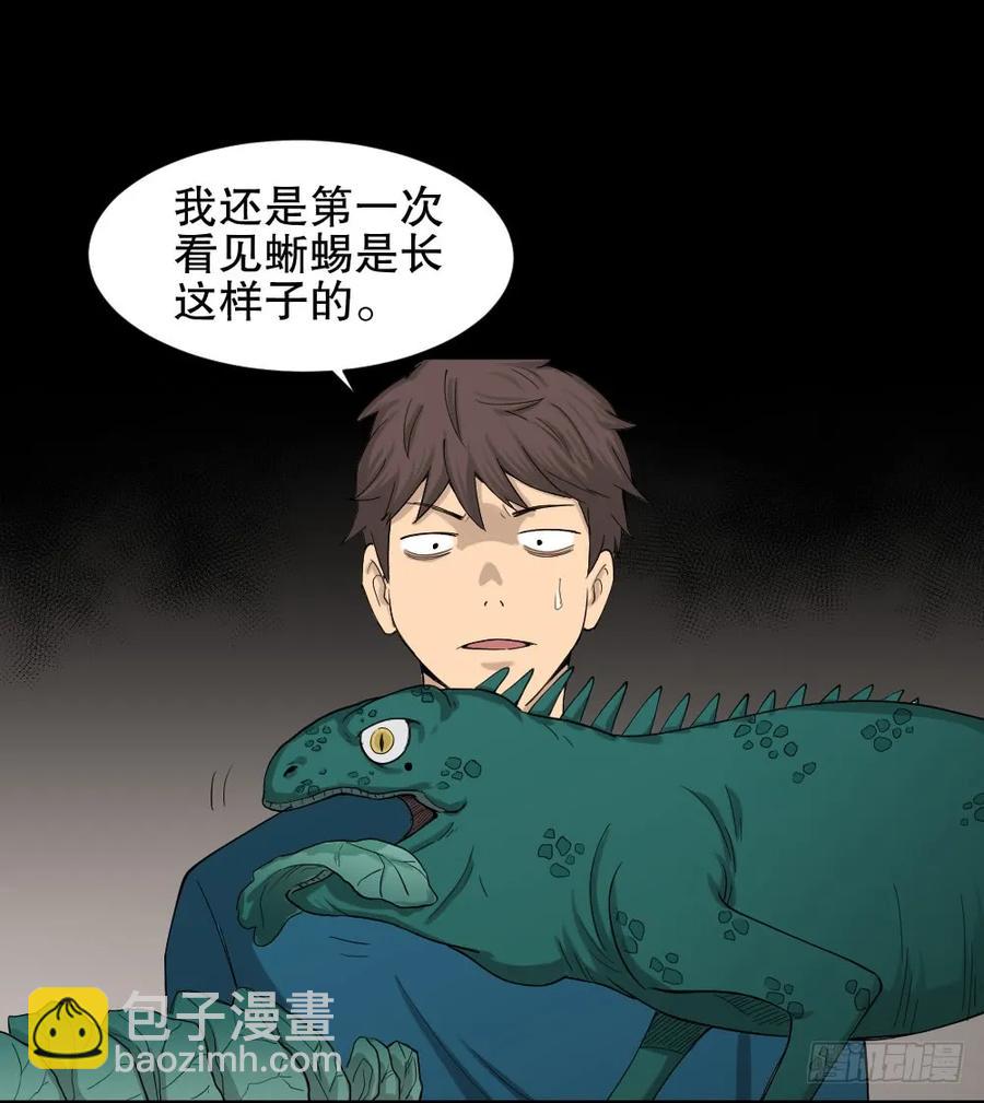 🍸怪奇笔记（怪奇脑洞集） 动物妈妈（3） 第19页
