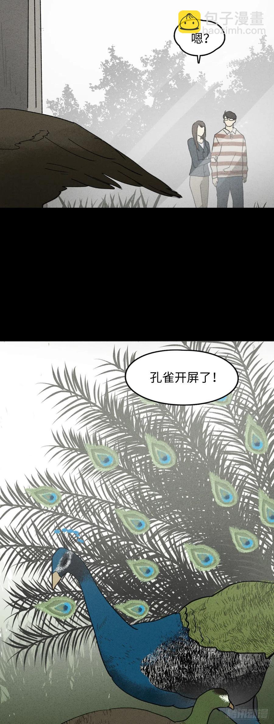 🍸怪奇笔记（怪奇脑洞集） 动物园 第12页