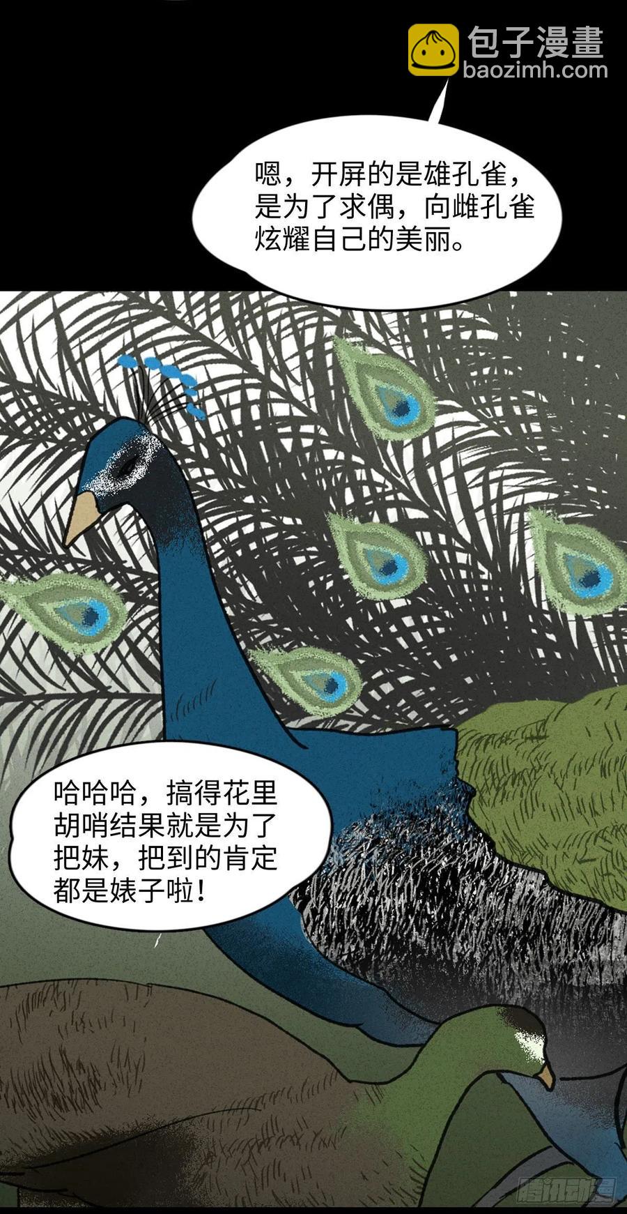 🍸怪奇笔记（怪奇脑洞集） 动物园 第14页