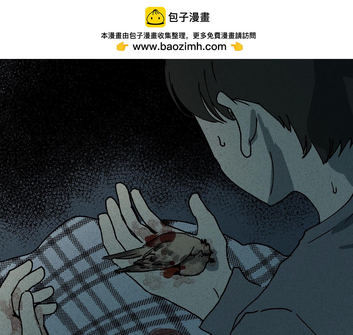 🍸怪奇笔记 容器3 第2页