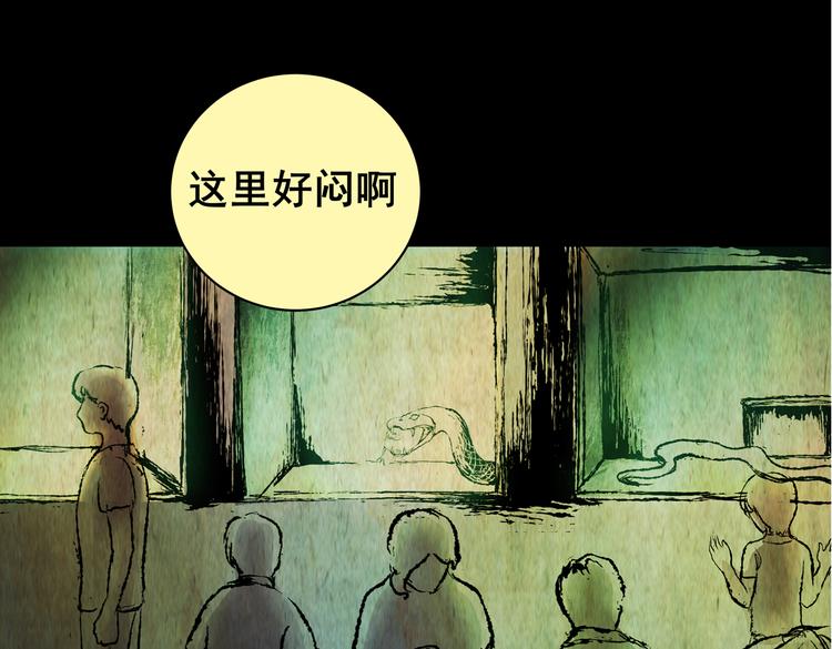 环形恐惧（完）(1/2)-第14话