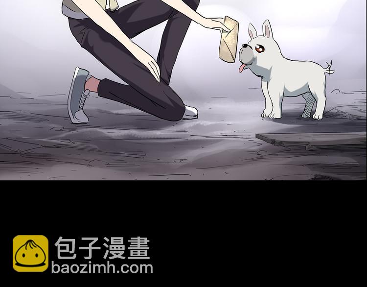🍸怪奇实录 第144话 怪之狗 三 第13页