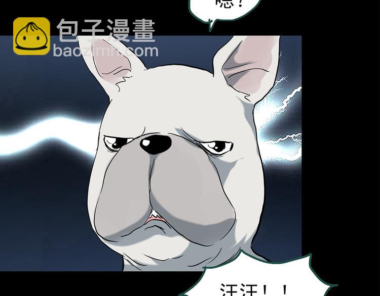 🍸怪奇实录 第146话 怪之狗 五 第19页