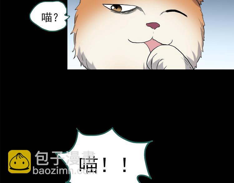 🍸怪奇实录 第203话 山间洗衣店（下） 第7页