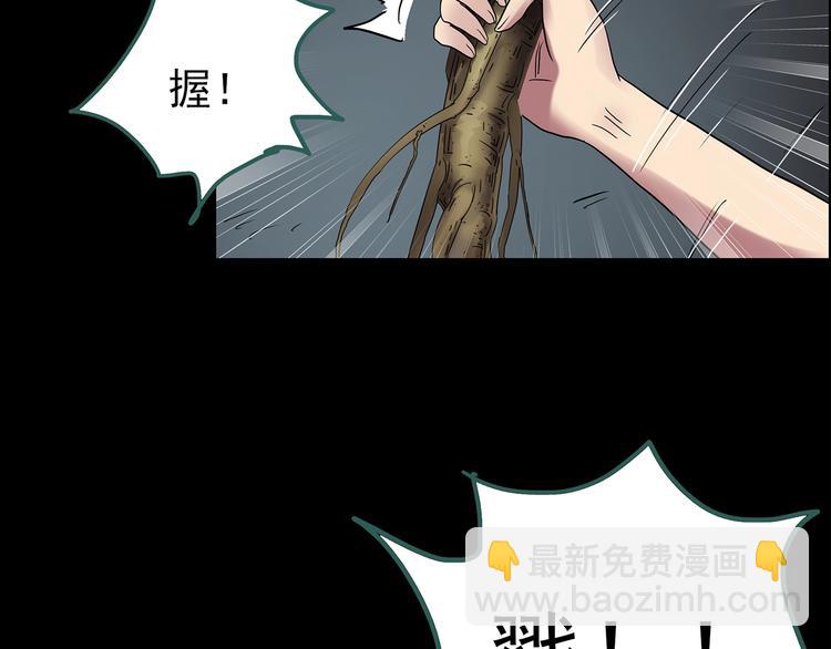 🍸怪奇实录 第211话 人参村（下） 第48页