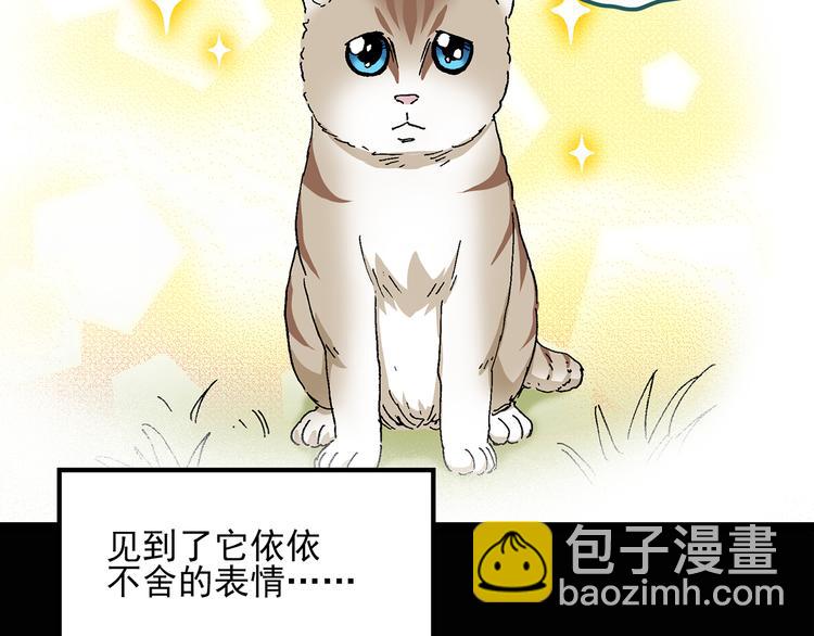 🍸怪奇实录 第28话 怪之猫(上) 第13页
