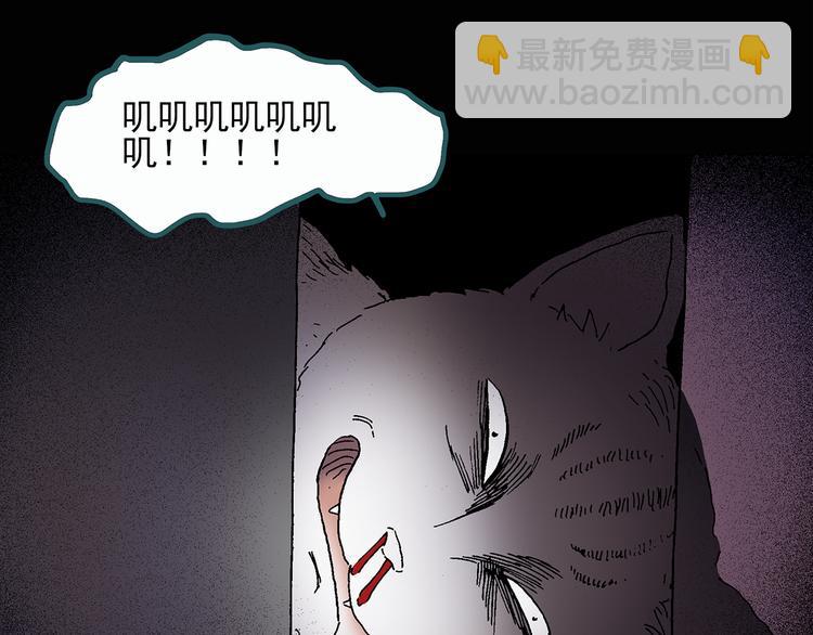 🍸怪奇实录 第28话 怪之猫(上) 第29页