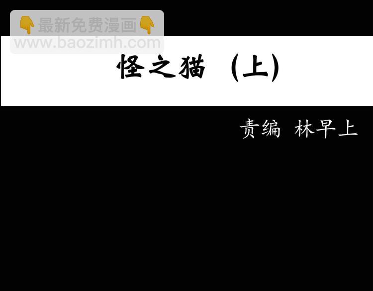 🍸怪奇实录 第28话 怪之猫(上) 第3页