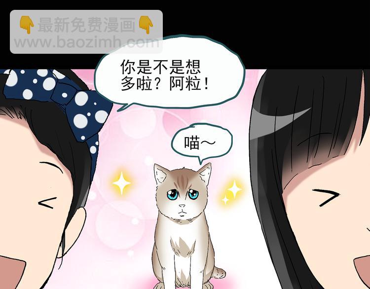 🍸怪奇实录 第28话 怪之猫(上) 第34页