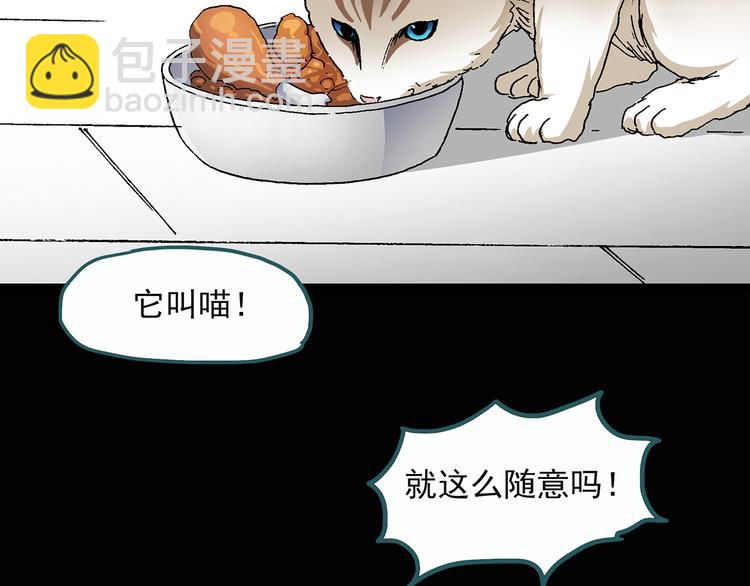 🍸怪奇实录 第28话 怪之猫(上) 第5页