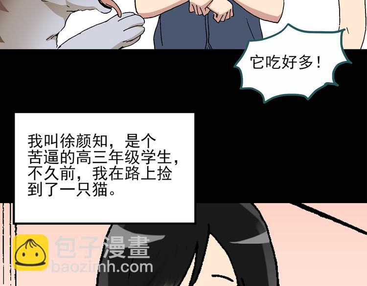 🍸怪奇实录 第28话 怪之猫(上) 第7页