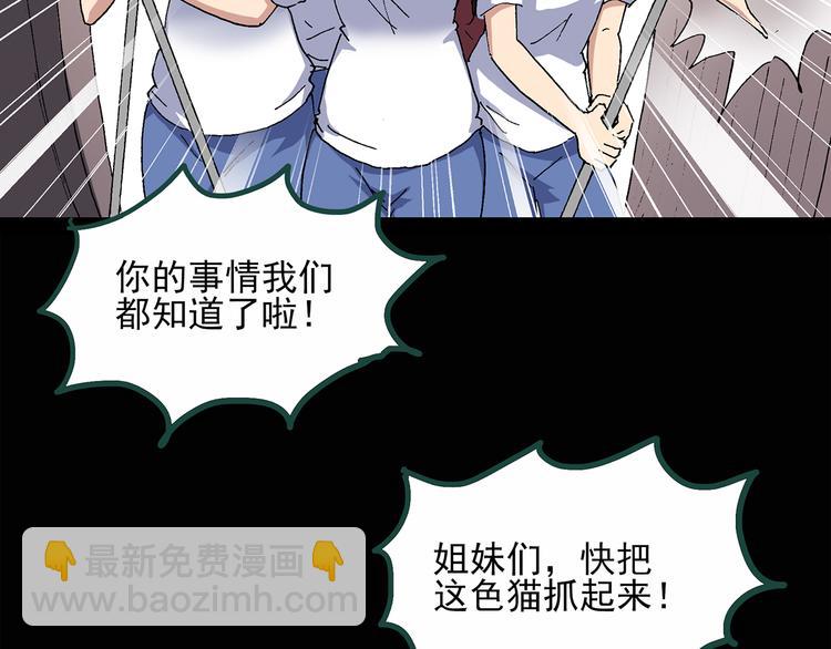 🍸怪奇实录 第30话 怪之猫(中2) 第11页