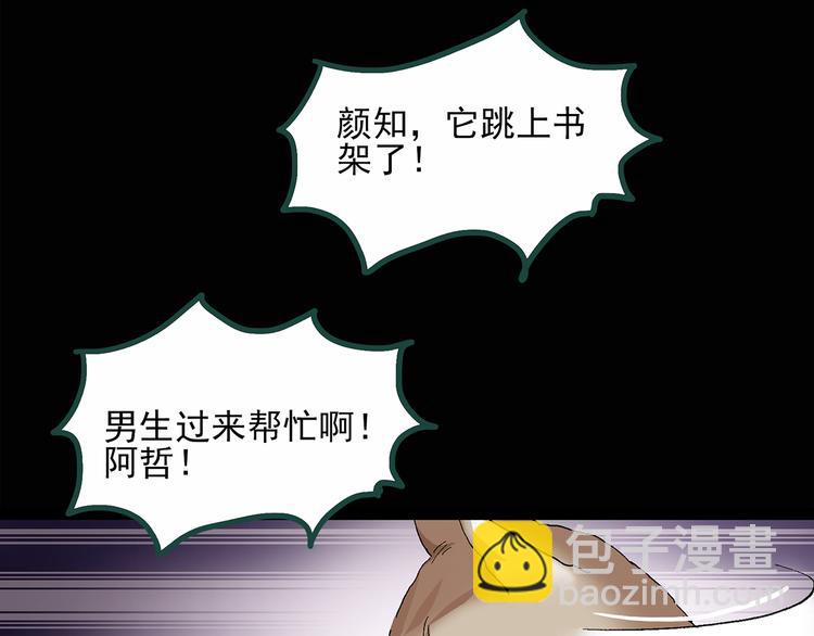 🍸怪奇实录 第30话 怪之猫(中2) 第18页