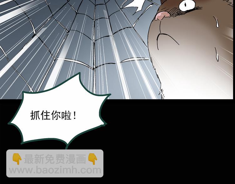 🍸怪奇实录 第30话 怪之猫(中2) 第30页