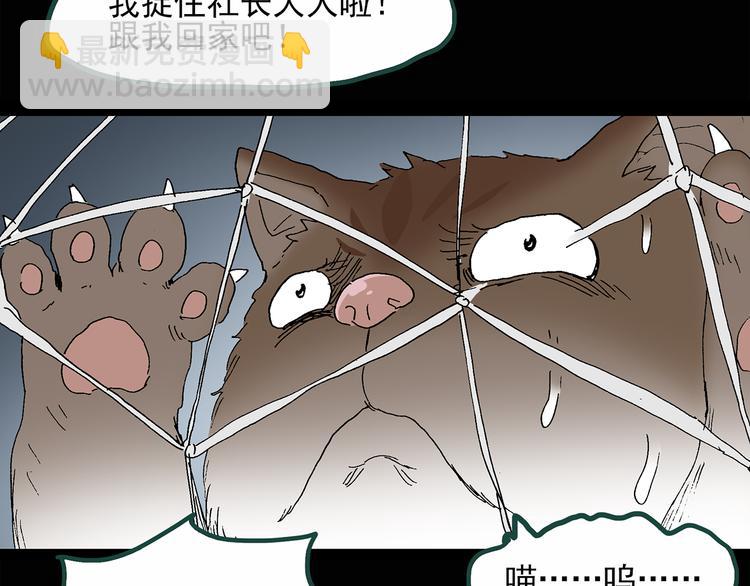 🍸怪奇实录 第30话 怪之猫(中2) 第33页