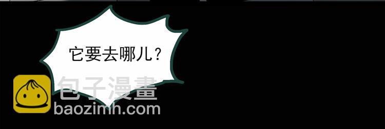 🍸怪奇实录 第30话 怪之猫(中2) 第39页