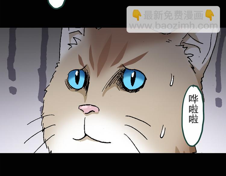 🍸怪奇实录 第30话 怪之猫(中2) 第7页