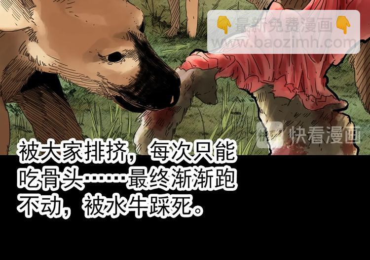 🍸怪奇实录 第318话 恶魔换脸术（一） 第35页