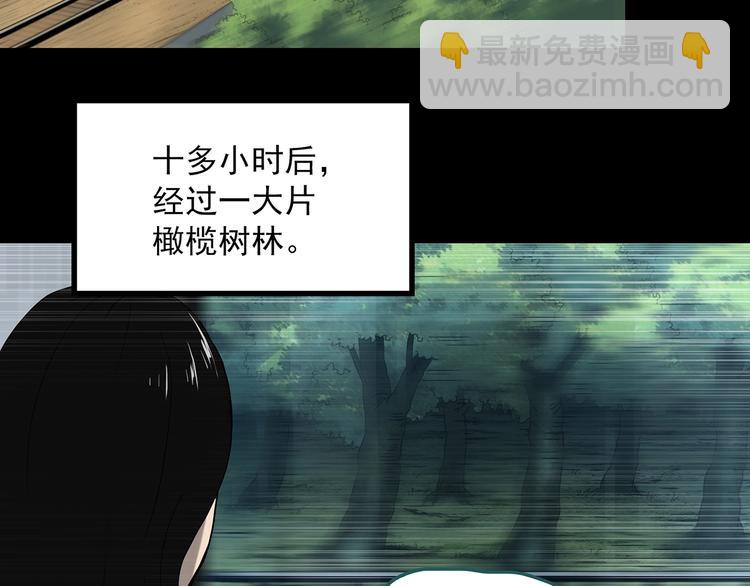 🍸怪奇实录 第330话 贞节橄榄树（上） 第37页