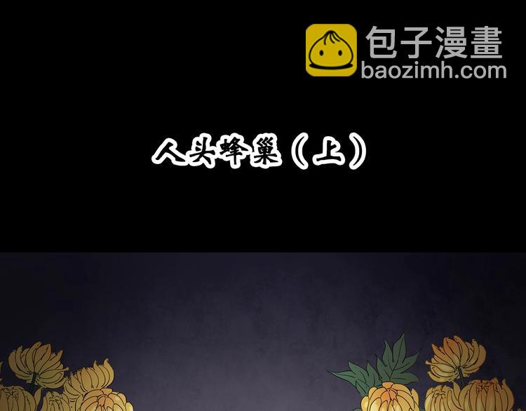 🍸怪奇实录 第334话 人头蜂巢（上） 第4页