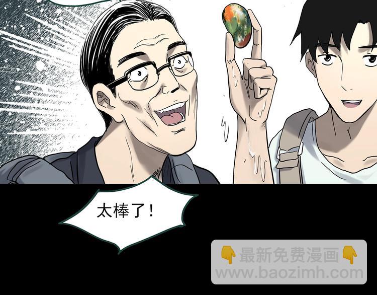 🍸怪奇实录 第334话 人头蜂巢（上） 第48页