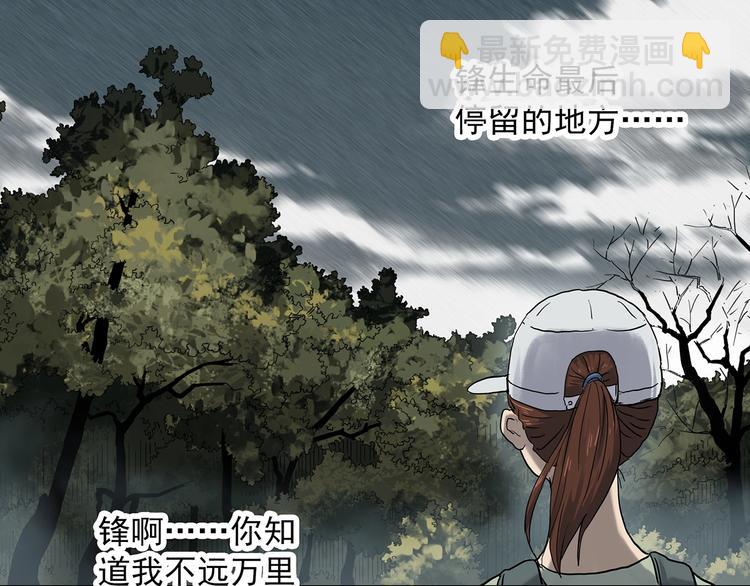 🍸怪奇实录 第334话 人头蜂巢（上） 第50页