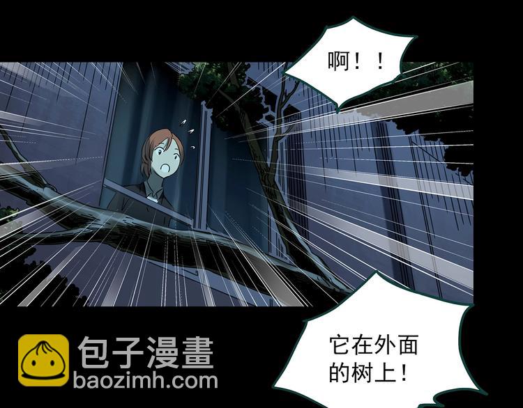 🍸怪奇实录 第358话 树上影 下 第19页