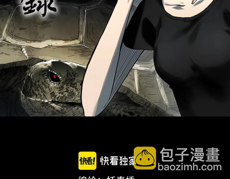 🍸怪奇实录 第374话 龟之怪谈（上） 第2页