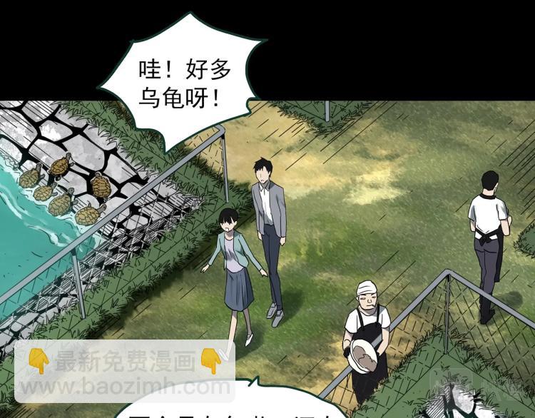 🍸怪奇实录 第374话 龟之怪谈（上） 第24页