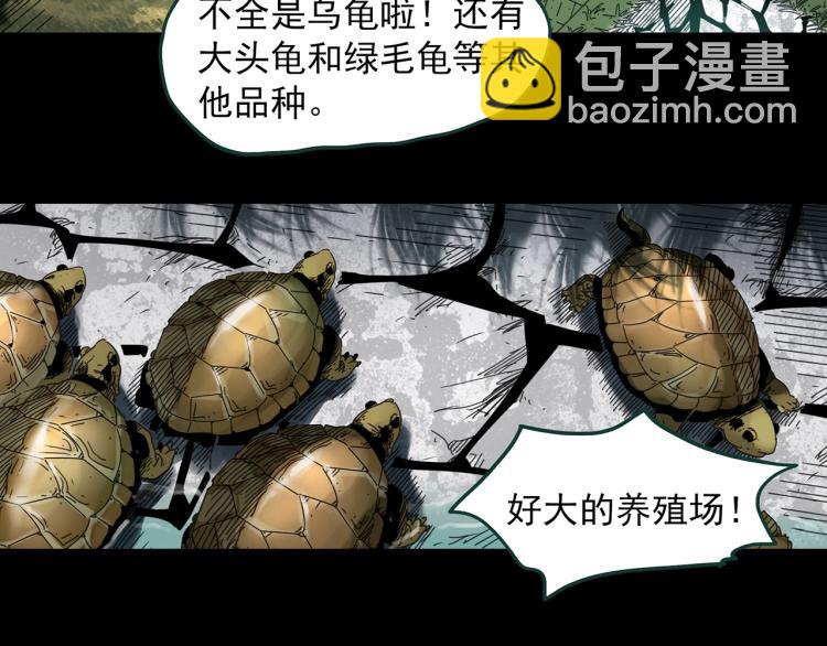 🍸怪奇实录 第374话 龟之怪谈（上） 第25页