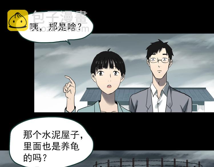 🍸怪奇实录 第374话 龟之怪谈（上） 第26页