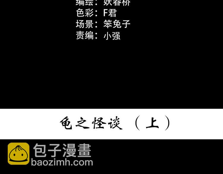 🍸怪奇实录 第374话 龟之怪谈（上） 第3页