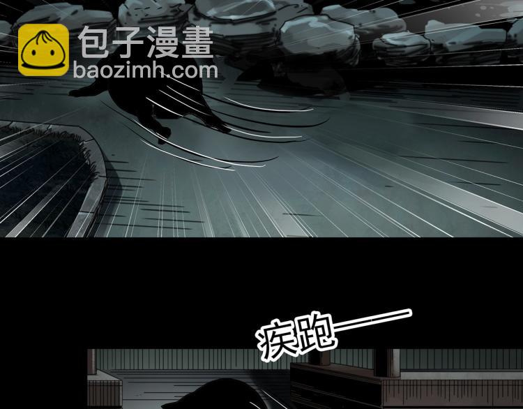 🍸怪奇实录 第374话 龟之怪谈（上） 第43页