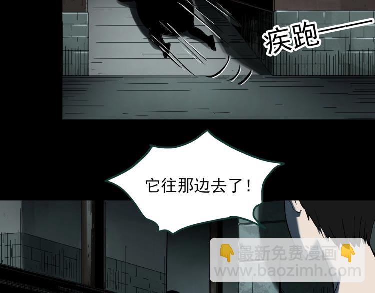 🍸怪奇实录 第374话 龟之怪谈（上） 第44页