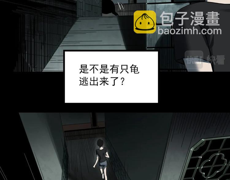 🍸怪奇实录 第374话 龟之怪谈（上） 第45页